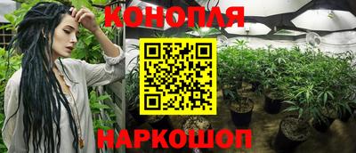 спиды Славгород